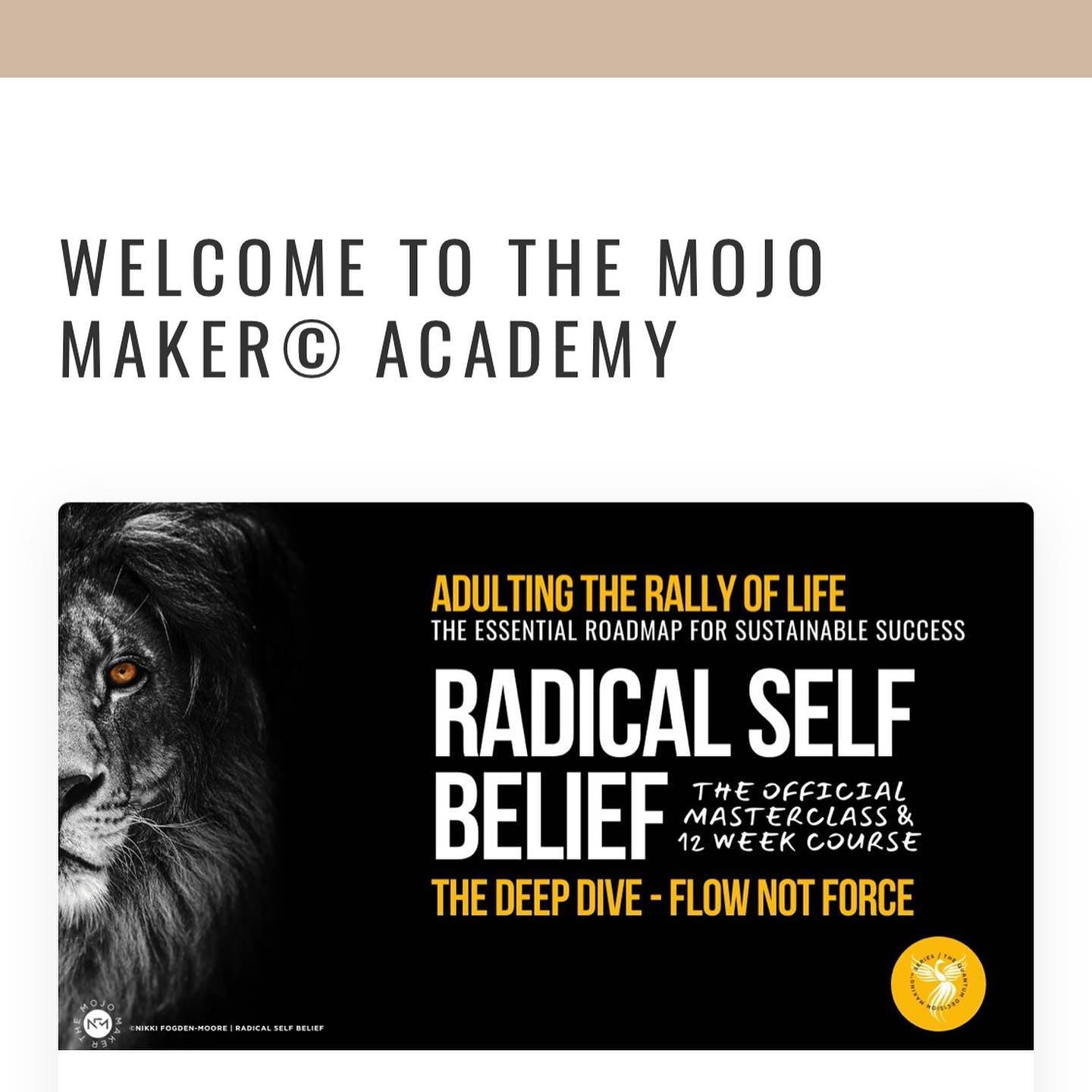 BOOK AND COURSE BUNDLE Radical Self Belief #Adulting The Rally Of Life